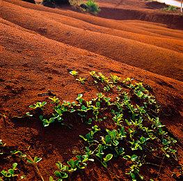 《超时空战记Gun & Slash》12月23日登陆PC平台